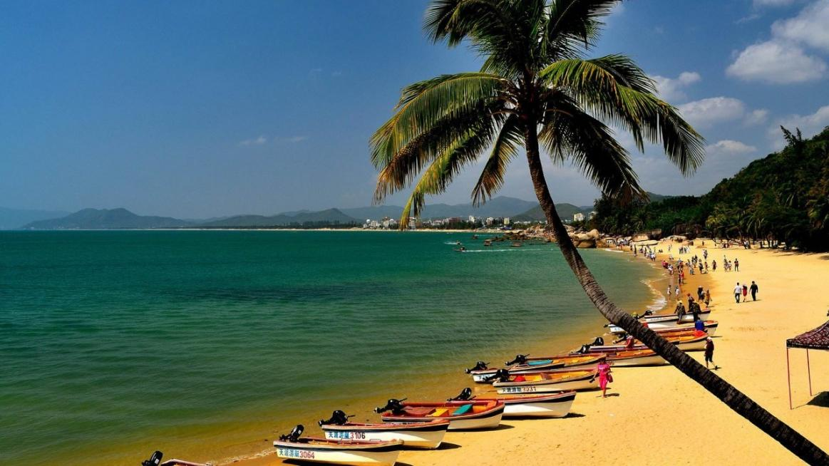 海南岛椰林秘境探幽