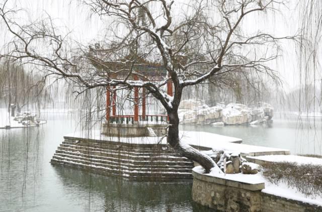 邢台，嘉宾云集，观众热情洋溢的时刻